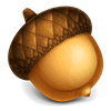 acorn icon