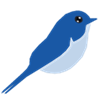 bluetail.in icon