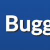 buggily icon