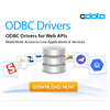 Alternativas para Cdata Odbc Drivers