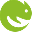chameleon webextension icon
