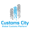 customs city icon