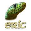 eric icon