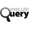 execute query icon