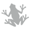 glassfrog icon