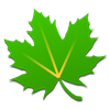 greenify icon