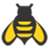 Keyword Bee