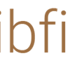 libfinity.com icon