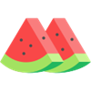 melon vpn unlimited icon