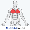 Musclewiki