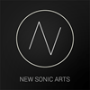 new sonic arts freestyle icon