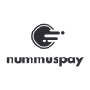 nummuspay.com icon