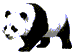 Panda-Sql