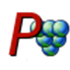 pinot icon