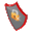 safeshield icon