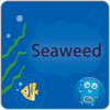 Alternativas para Seaweed Fs