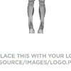 shins icon