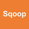 sqoop icon