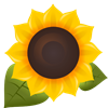 Alternativas para Sunflower