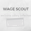 Alternativas para Wage Scout